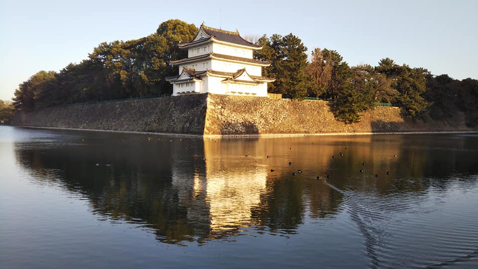 西日を受ける名古屋城の西北隅櫓